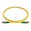 fiber optic jumper